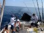 Manzanillo Sport Fishing